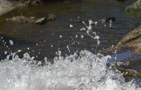 Splashby John Organ